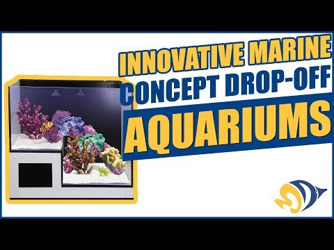 Innovative Marine Concept Drop-Off Aquariums: What YOU Need to Know