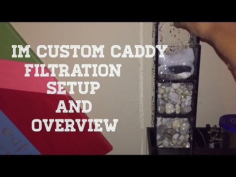Innovative Marine Custom Caddy Filtration Setup & Overview