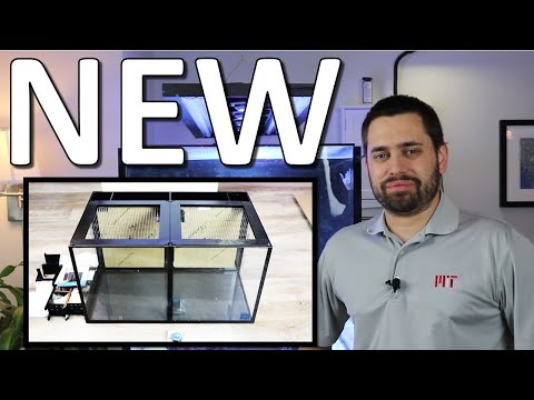 Innovative Marine Encore 20 gallon dual display aquarium unboxing and review!