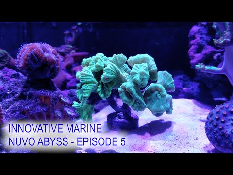 Innovative Marine EP05