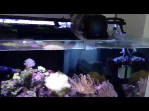 Innovative Marine fully cycled