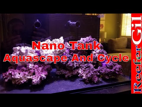 Innovative Marine Fusion 20 Aquascape And Cycle