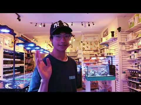 Innovative Marine Fusion 20 Gallon Nano Reef