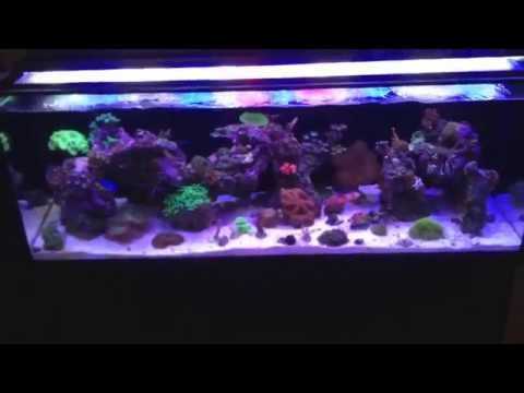 Innovative marine fusion 30l 3 week update