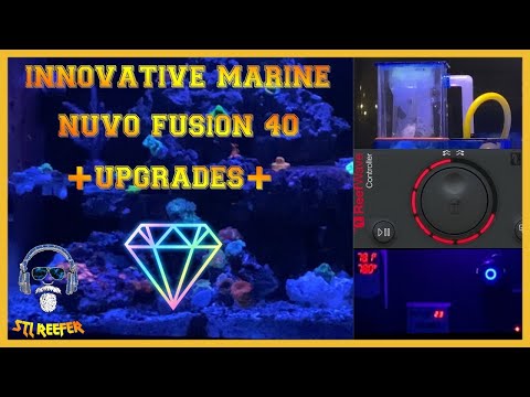 Innovative Marine Fusion 40 Upgrades