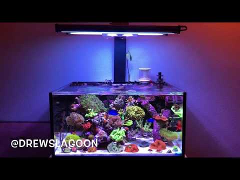 Innovative marine fusion lagoon 25 led t5 hybrid