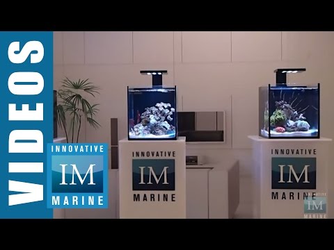 Innovative Marine Fusion Nano 10 Premium Starter Kit Aquarium Build.