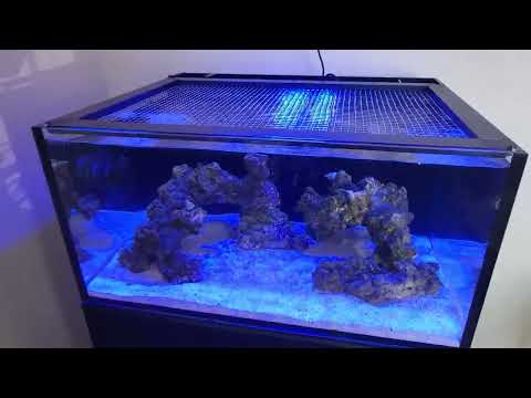 innovative marine lagoon 25 first start up