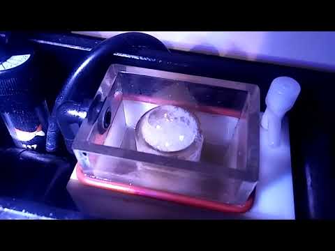 Innovative Marine Lagoon 25 gallon