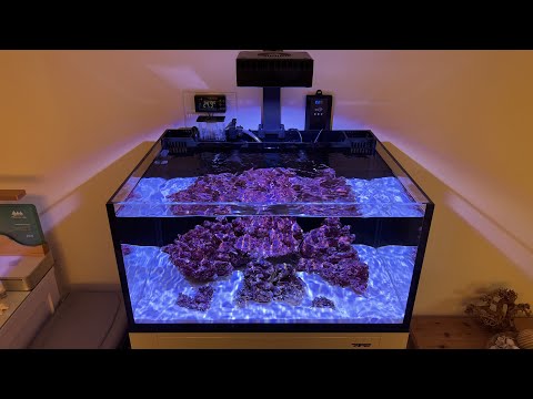 INNOVATIVE MARINE Lagoon Reef Up and running, Mega quick cycle and first problem!!!