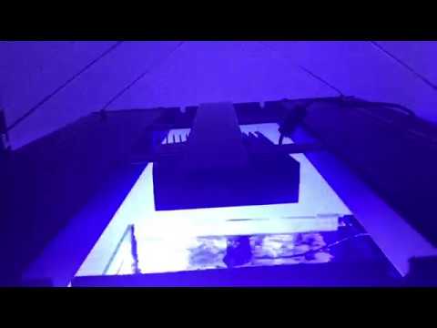 Innovative marine lagoon| T5s/ Hydra26 SPS TANK