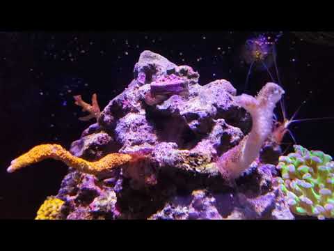 Innovative Marine Nuvo 10 14 month update