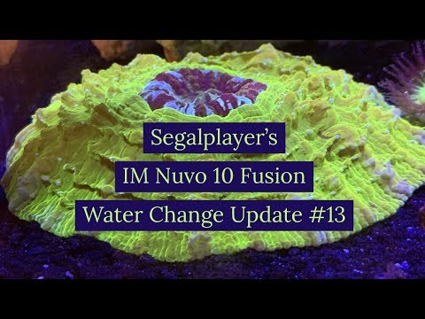Innovative Marine Nuvo 10 Fusion Water Change! Update #13!!!! 1yr 11 mo!