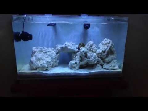 Innovative Marine Nuvo 16 part 4