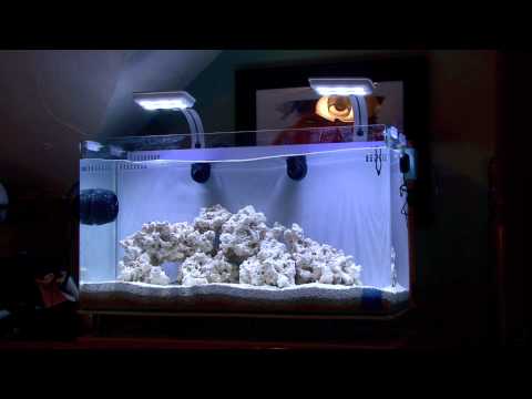 Innovative Marine Nuvo 16 with EcoTech MP10.mov