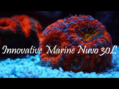 Innovative Marine Nuvo 30L | Update | Acans