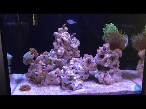 Innovative Marine Nuvo 40 Episode 1