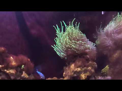 Innovative Marine Nuvo 40 Episode 2