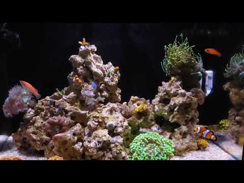 Innovative Marine Nuvo 40 Episode 3