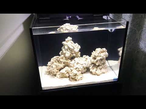 Innovative Marine Nuvo 40 First Look