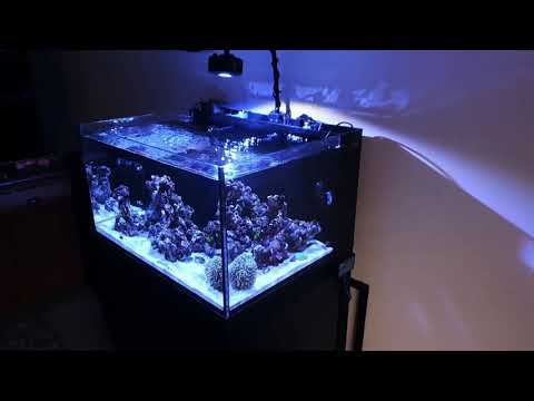 Innovative Marine Nuvo 50 Lagoon update 10weeks