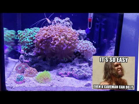Innovative Marine Nuvo Fusion 10 Big Update!