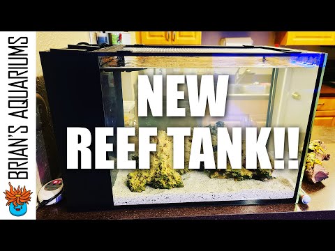Innovative Marine Nuvo Fusion 14 Gallon Peninsula AIO Nano Reef Tank