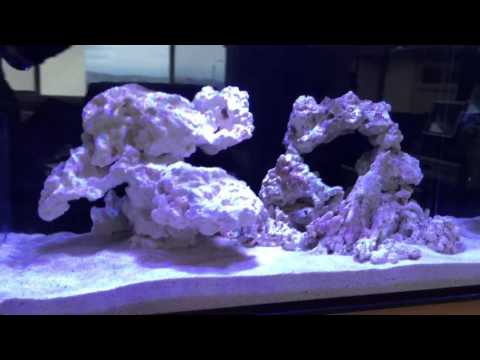 INNOVATIVE MARINE NUVO FUSION 20 – episode 1