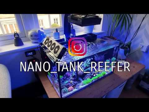 Innovative Marine Nuvo Fusion 20 – Tank Tour