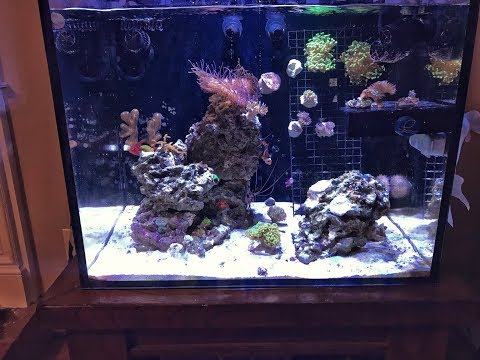 Innovative Marine Nuvo Fusion 40 (IM40) Update