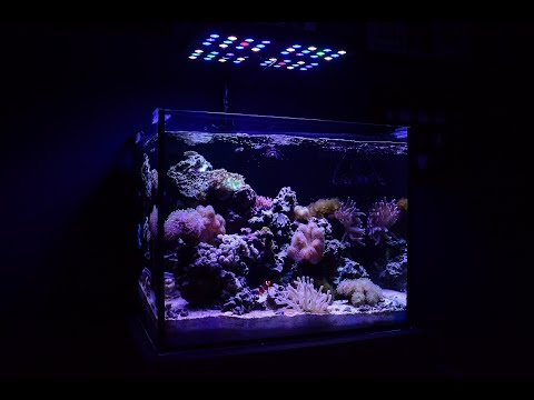 Innovative Marine NUVO Fusion 40