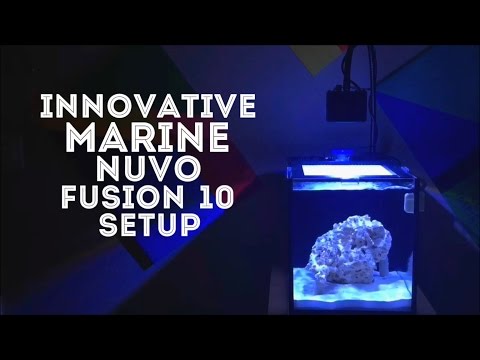 Innovative Marine Nuvo Fusion Nano 10 Setup