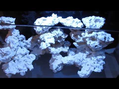 Innovative Marine, Nuvo Fusion Pro 20 AIO Aquarium