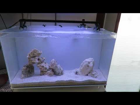 Innovative Marine Part 3
