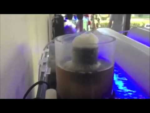 Innovative Marine Skimmate Protein Skimmer