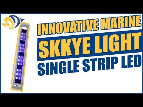 Innovative Marine Skkye Light Single Strip LED Product Demo