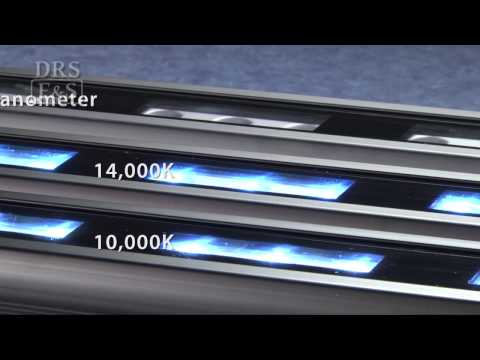 Innovative Marine SkkyeLight SingleStrip LED Light | DrsFosterSmith.com