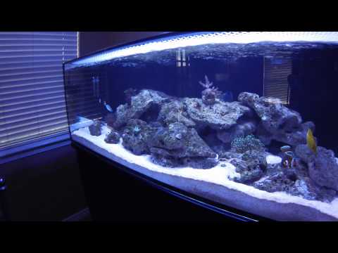 Innovative marine sr80 update, 2 months old