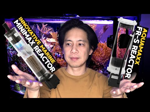 Innovative Marine vs. Aquamaxx Media Reactor!! ? Adding Circus Goby!