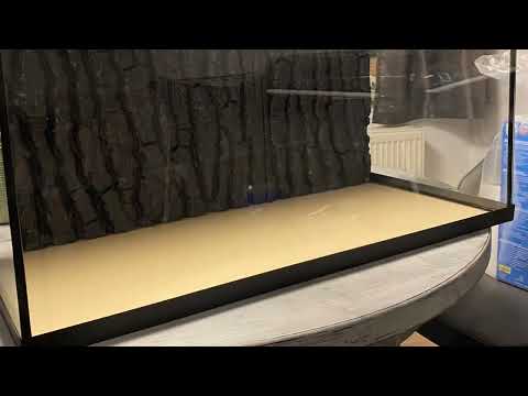 Installation Rückwand – Juwel – Aquarium Anfänger