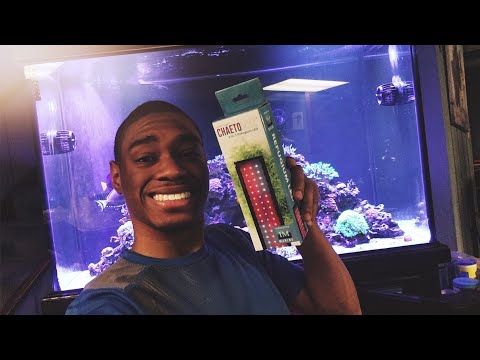 Installing The Innovative Marine ChaetoMax 2-in-1 Refugium LED To My Reef Tank