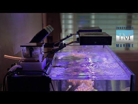 Introduction to the New Channel! *Innovative Marine 30L Breakdown*