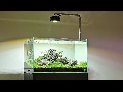 Iwagumi Aquascape and Kessil A360X Tuna Sun first look