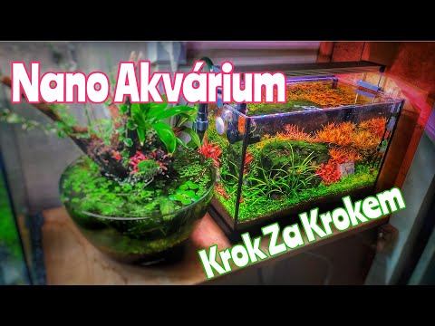 Jak Založit Rostlinné Akvarium