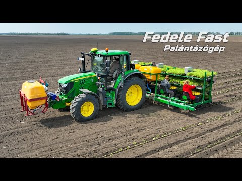 JD 6130M + FEDELE Fast | Paradicsom palántázás | Kevés a munkaerő? Itt a megoldás! Alfa-Gép Kft