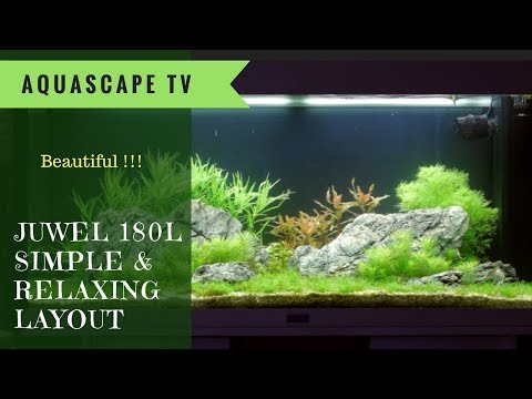Juwel 180L Simple and Relaxing Aquascape Design | Aquascape TV