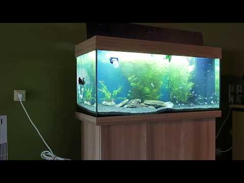 JUWEL AQUARIUM 180 BIGGEST PROBLEM EVER PART 2: Still fixing hoping for good result