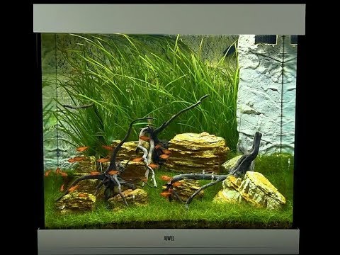 Juwel Aquarium Lido 200 Einrichtungsbeispiel / Tutorial