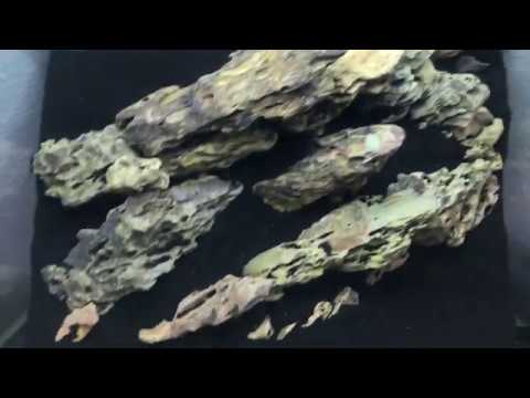 Juwel Aquarium# Lido#120 L Setup AquascapeTo a Soil Planted Tank# Teil 1