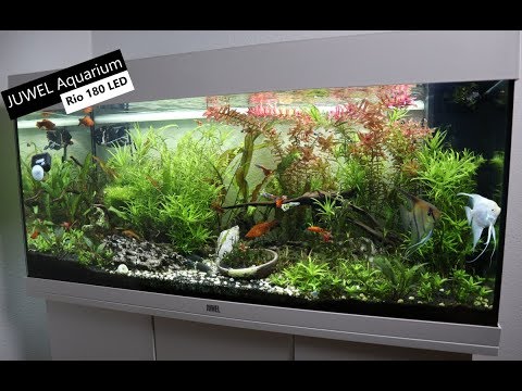 Juwel Aquarium Rio 180 LED